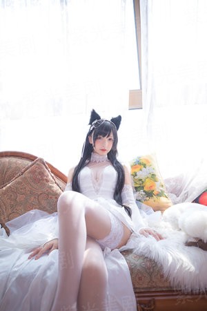 无良也全能