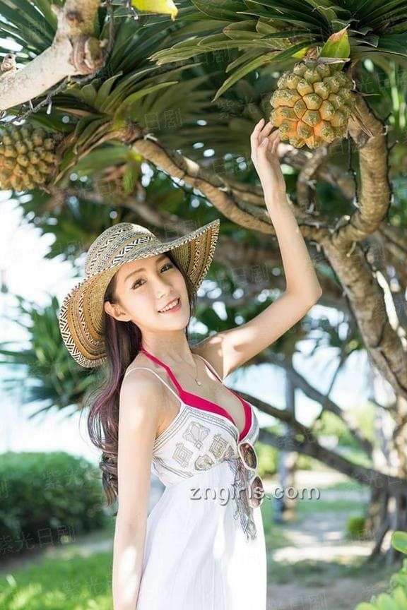 凰妃谋略