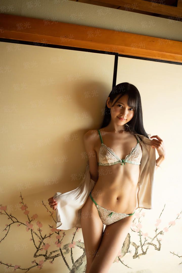 贤真机械纪元