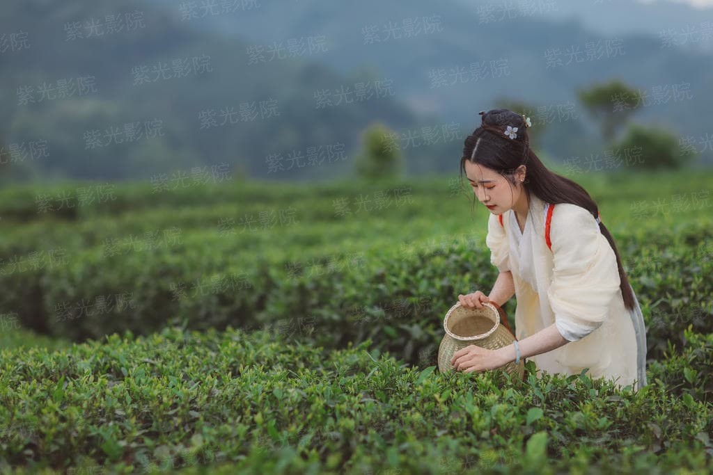 以和为贵