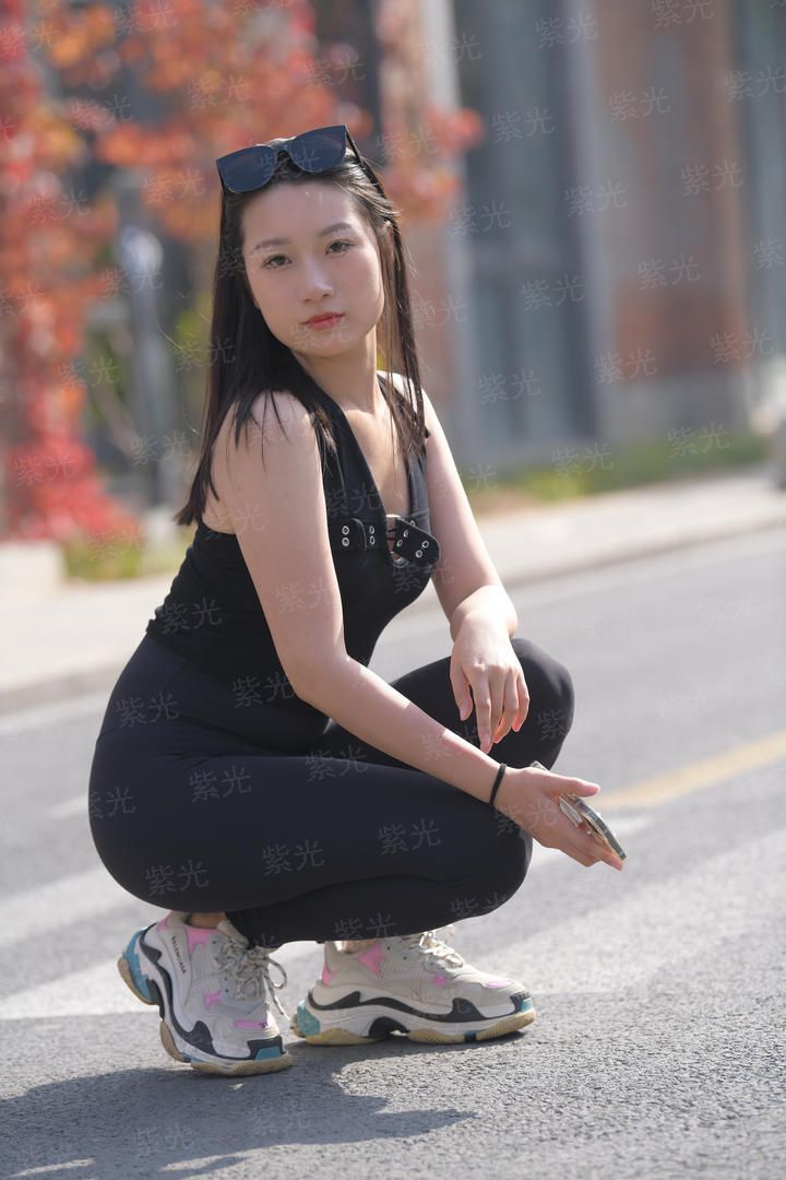 纵横之明末崇祯王朝
