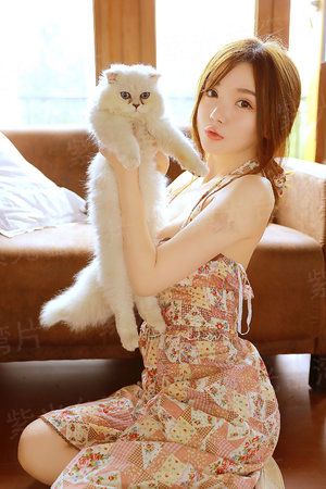 我家夫人会通灵