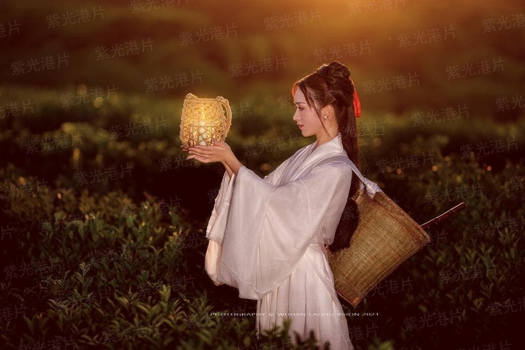 重归至尊