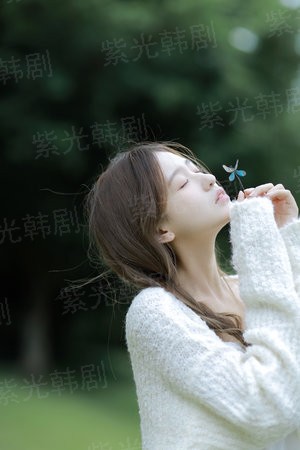 三国之孔明之师