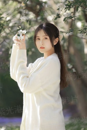 总裁大人，求宠爱