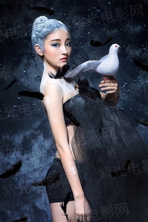 黑与白的幻想