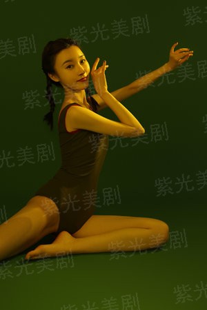 植物大战僵尸英雄：兵器之争