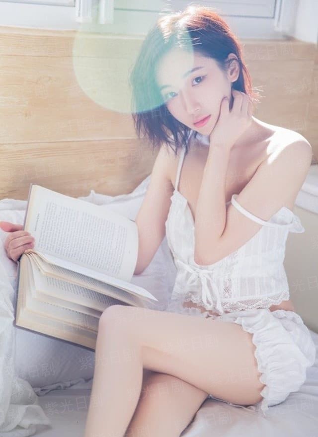 踏月摘星传