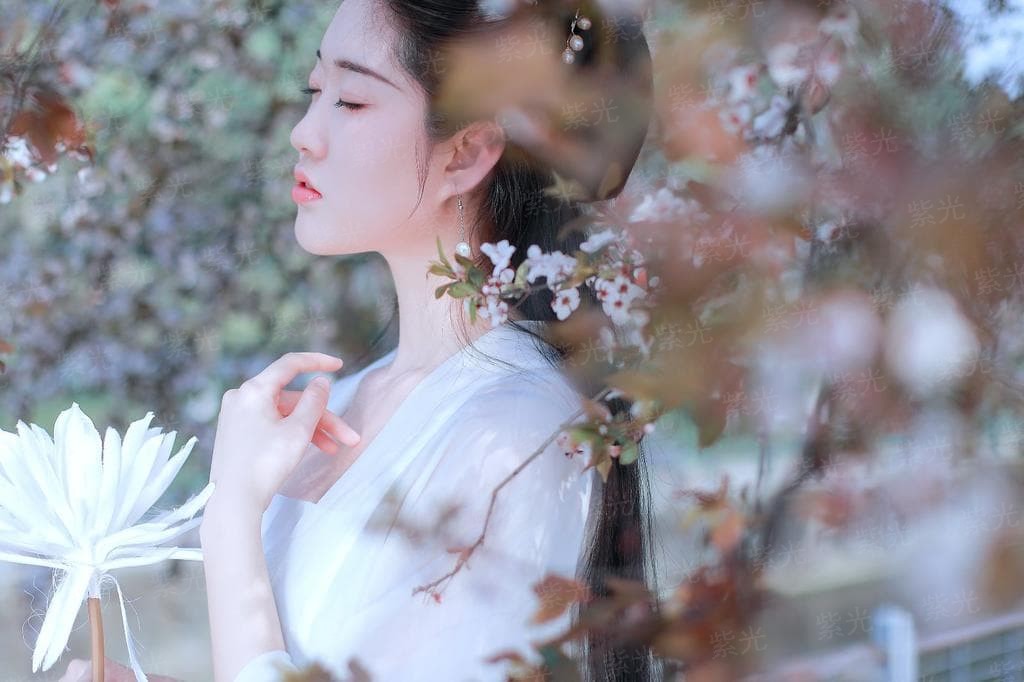 灵气复苏我在玩私服