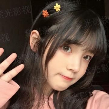 樱花散落十七岁