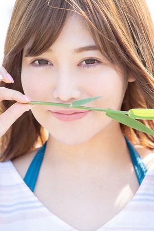 峨眉飞盗