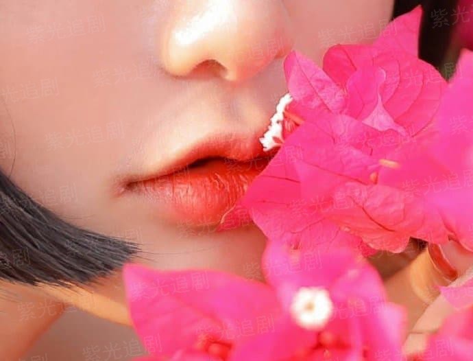 见证毁灭