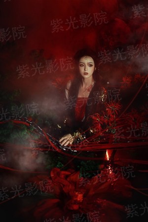 公主与公主殿下