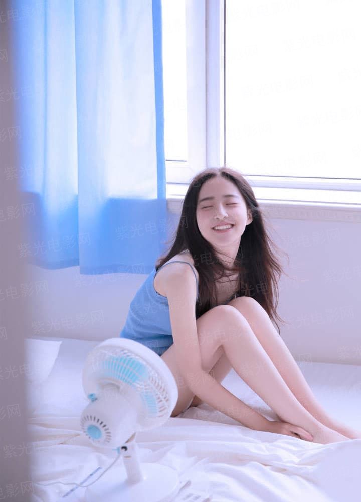 星辰花的绽放