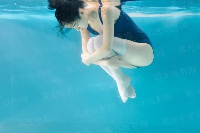 警察世家第十三季