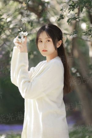 浪迹于江湖世界