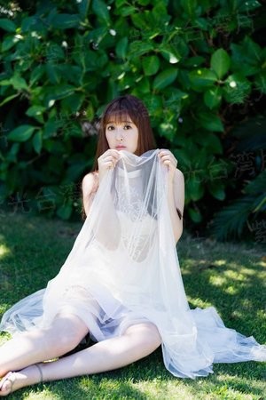 野村小神农