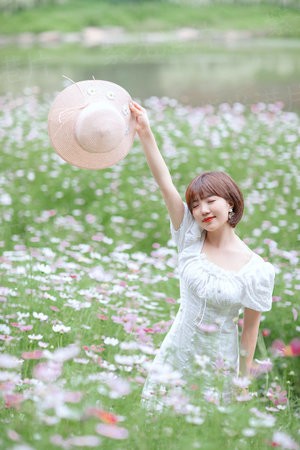 神奇公司在哪里
