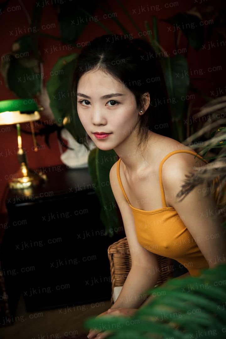 何加加的桃花源记