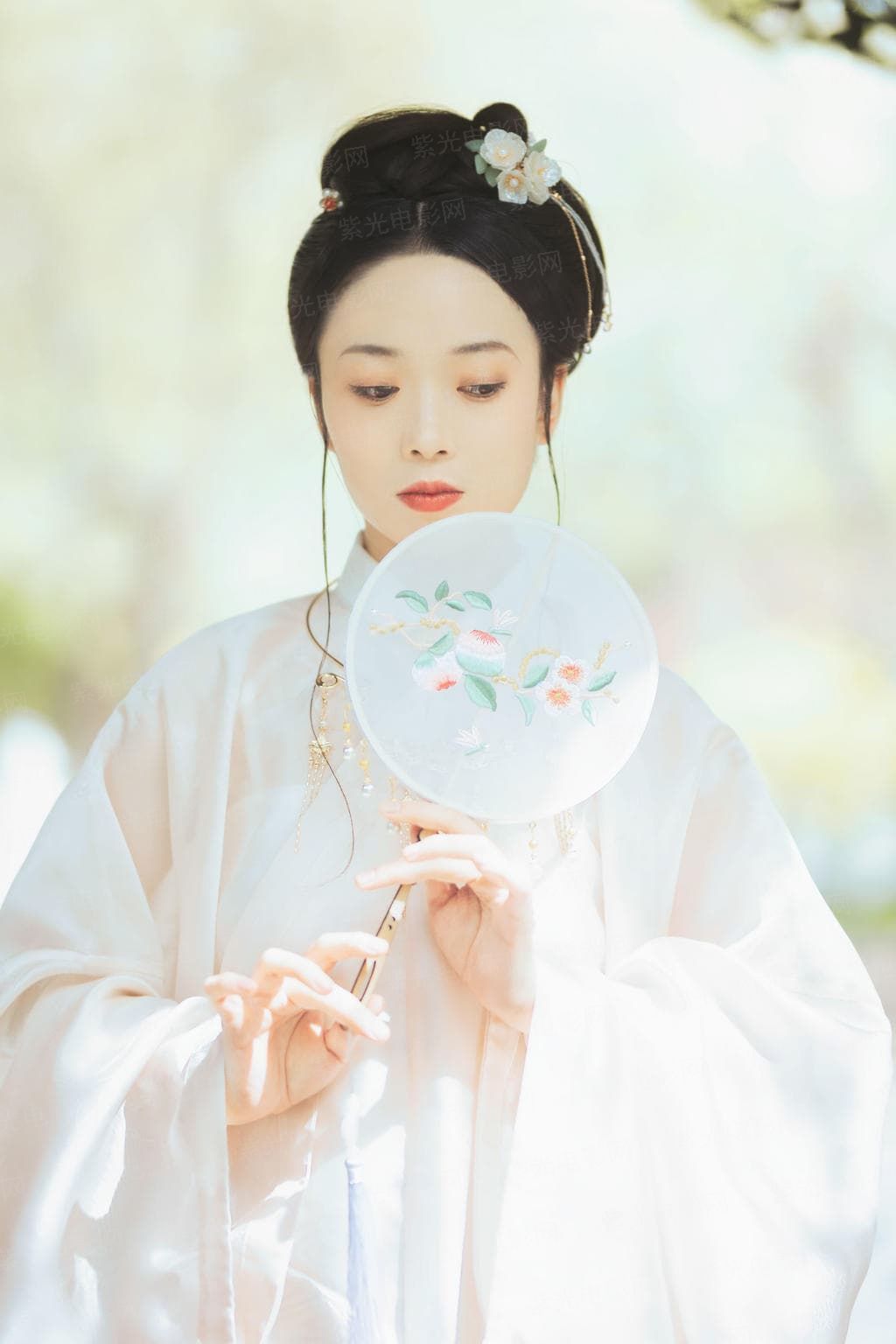 首席的秘密新宠