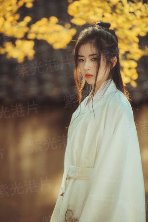 大唐种田直播日常