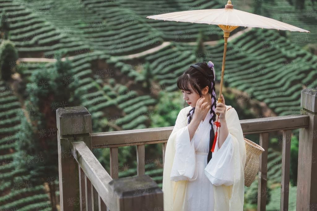 一品狂兵