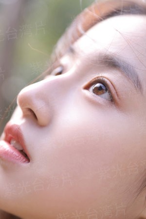 王子如若爱情
