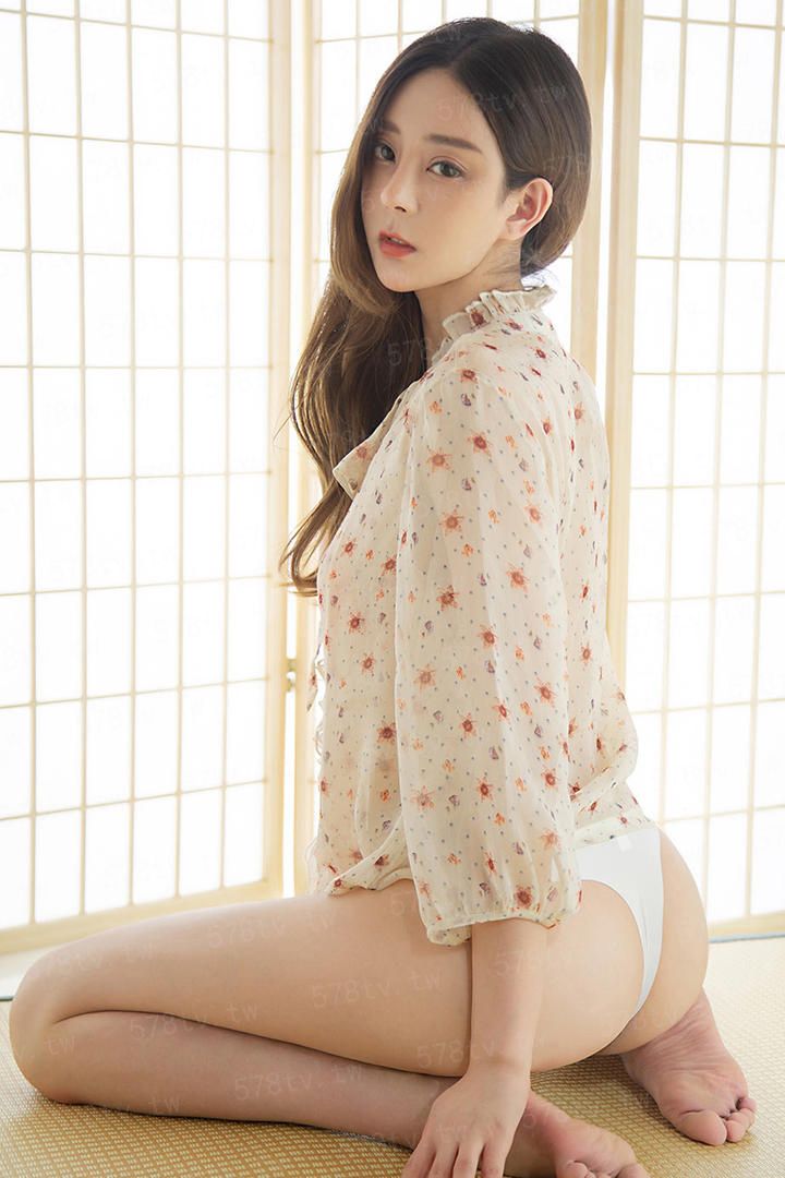 圣女的守护骑士
