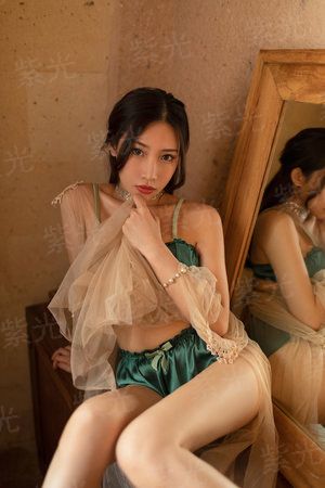 美女总裁的贴身守护者