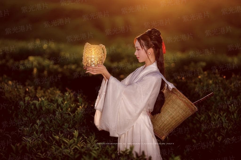 别离不朽，伤怀盛开