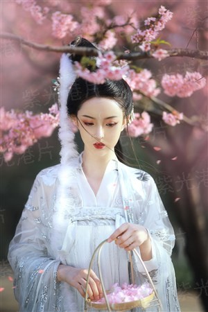 海贼世界的杀手