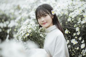 美女娱记：撞爱霸道总裁