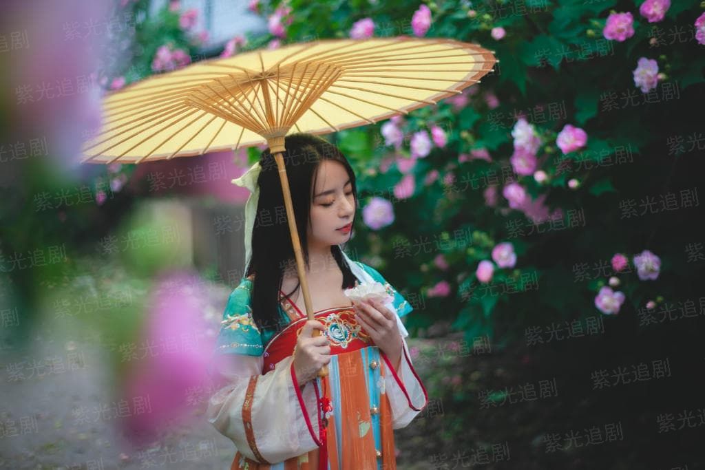 重生之万道剑帝