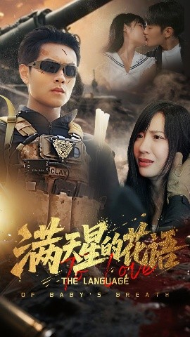满天星的花语